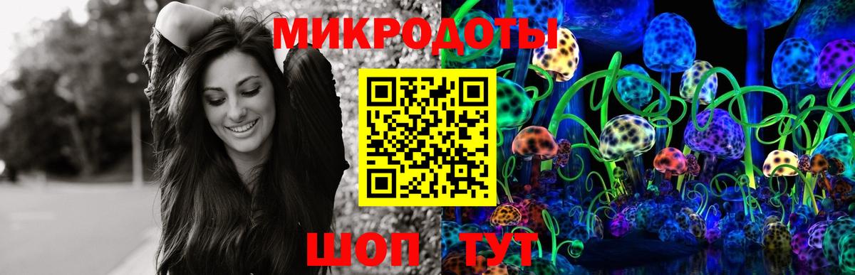 Гусиноозёрск  продажа наркотиков  Вход с VPN  Галлюциногенные грибы Psilocybine cubensis  Псилоцибиновые грибы Psilocybine cubensis 